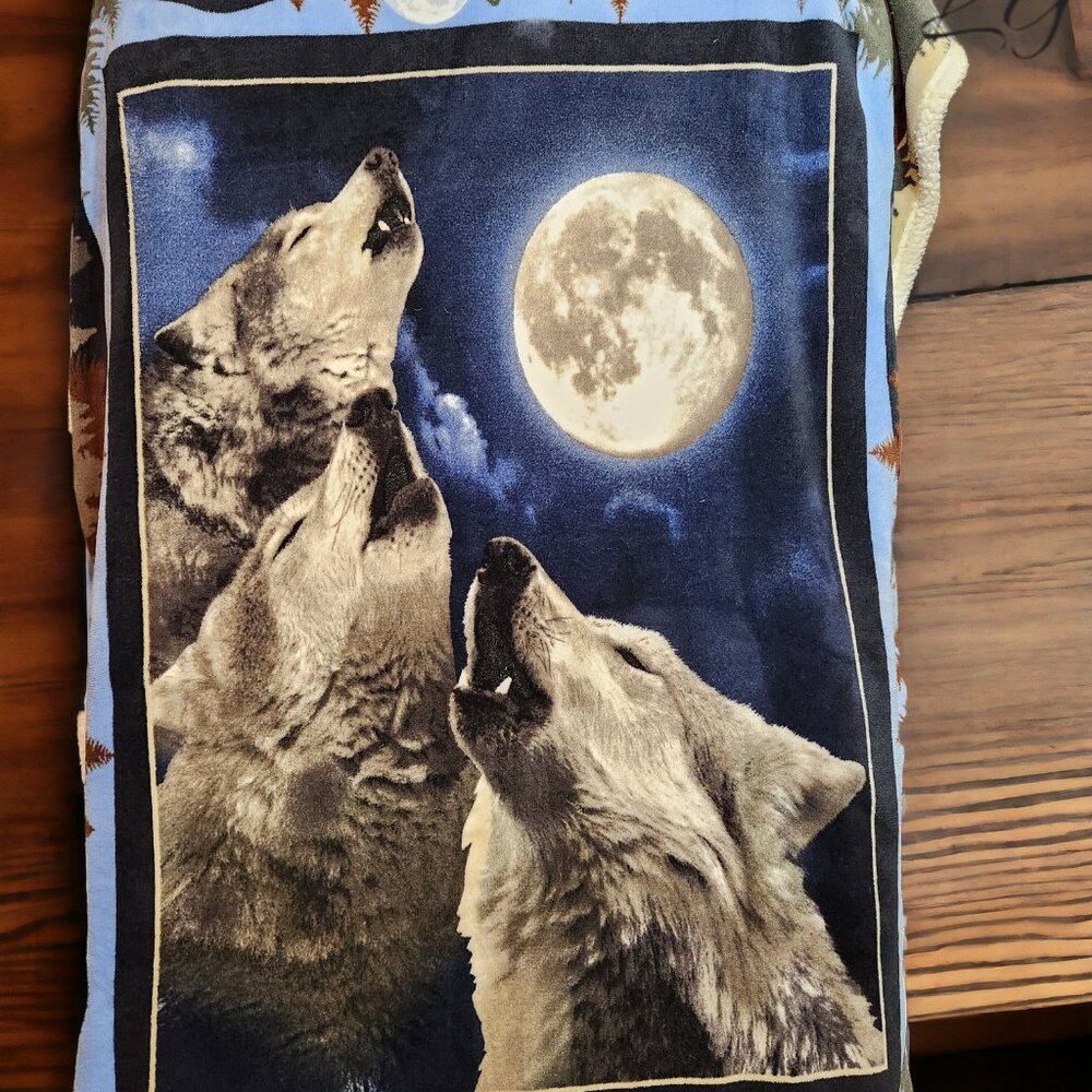 pillow and blanket set